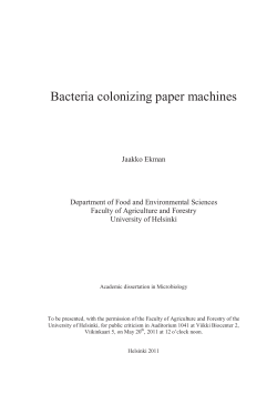 Bacteria colonizing paper machines