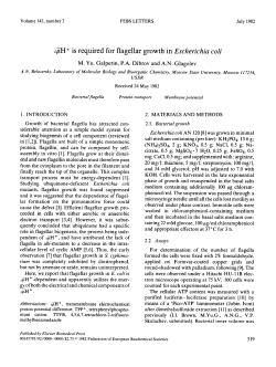 ajiH+ is required for flagellar growth in Escherichia coli