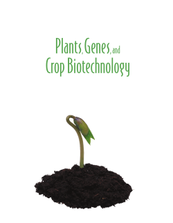 Plants, Genes, and Agriculture