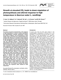Growth at elevated C02 leads to down-regulation