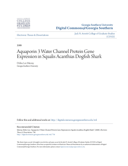 Aquaporin 3 Water Channel Protein Gene Expression in Squalis