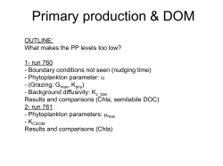 DOM model