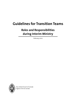 Guidelines for Transition Teams
