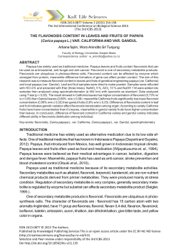 THE FLAVONOIDS CONTENT IN LEAVES AND