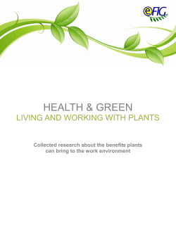 Eilo seminar1 - Urban Planters