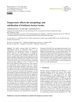 Temperature affects the morphology and