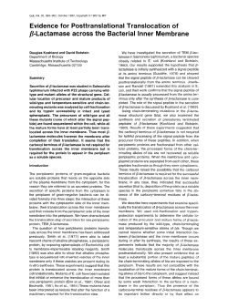 Evidence for Posttranslational Translocation of /?