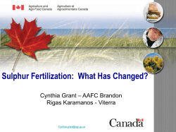 Sulphur Fertilization: What Has Changed?