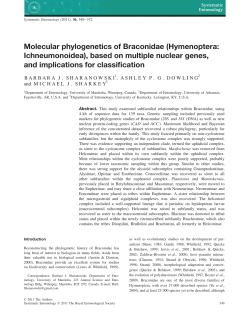 Molecular phylogenetics of Braconidae
