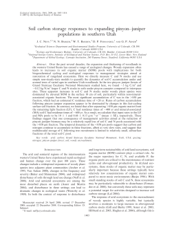 Soil carbon storage responses to expanding pinyon&ndash;juniper
