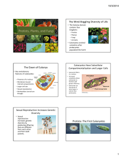 Protists, Plants, and Fungi