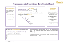 Microeconomic Guidelines: Two Goods Model