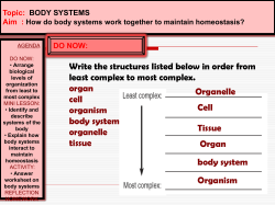 Body Systems