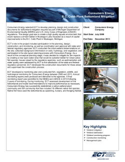 Consumers Energy - B.C. Cobb Plant Bottomland Mitigation