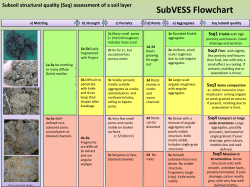 SubVESS Flowchart