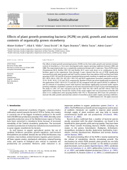 Effects of plant growth promoting bacteria (PGPB) on yield, growth