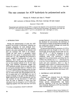 The rate constant for ATP hydrolysis by polymerized actin