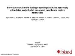 Fibronectin matrix assembly is required for vascular