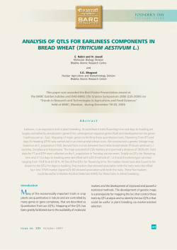 analysis of qtls for earliness components in bread wheat (triticum