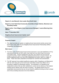 Neighbourhood Improvement Update report PDF 355 KB