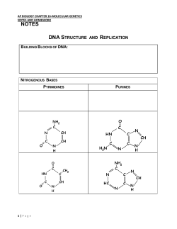 Activity#1 - Alvinisd.net