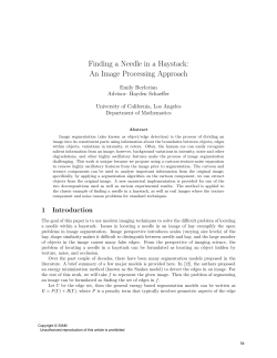 Finding a Needle in a Haystack: An Image Processing Approach