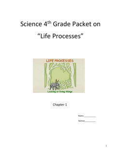 Chapter 1 Life Processes