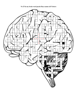 No 25 In my brain word puzzle Boys names all 5 letters