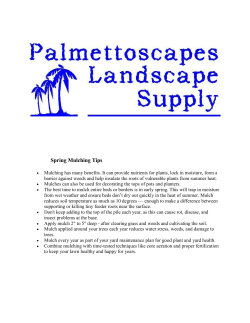 Products - Wsimg.com