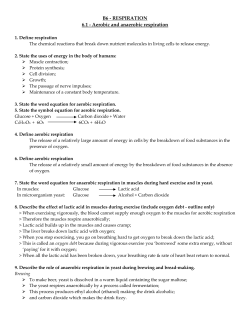 B6 Revision notes