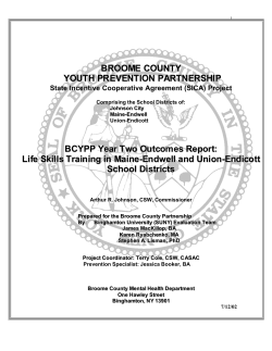 BCYPP Year 2 Outcomes Report: Life Skills