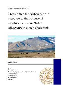 Shifts within the carbon cycle in response to the absence of