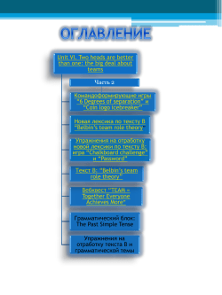 BELBIN`S TEAM ROLE THEORY