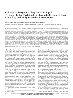 Chloroplast Biogenesis. Regulation of Lipid