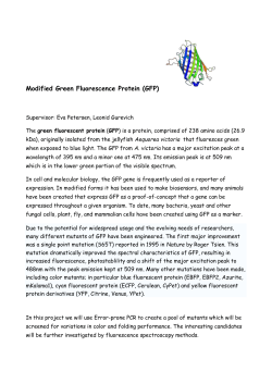 Modified Green Fluorescence Protein (GFP) Supervisor: Eva