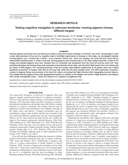 Testing cognitive navigation in unknown territories: homing pigeons
