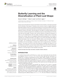 Butterfly Learning and the Diversification of Plant Leaf