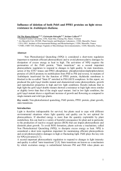 Ảnh hưởng của sự thiếu hụt hai protein PsbS v&agrave; PPH1 đến khả