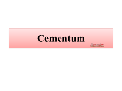 Cementum