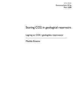 Storing CO2 in geological reservoirs - W