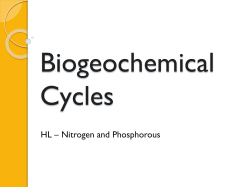 Biogeochemical Cycles