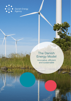 The Danish Energy Model