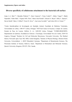 Diverse specificity of cellulosome attachment to the