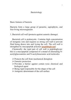 Introduction to microbiology