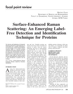 Surface-Enhanced Raman Scattering: An Emerging Label