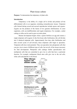 Plant tissue culture