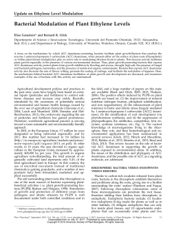 Bacterial Modulation of Plant Ethylene Levels