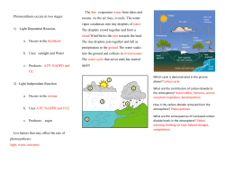plant study brochure answers