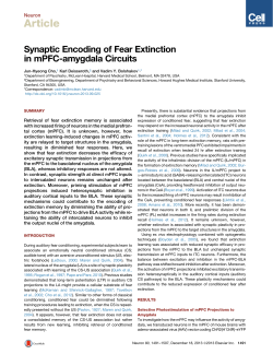 Synaptic Encoding of Fear Extinction in mPFC