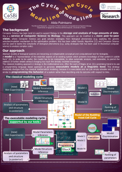 The cycle of modeling, Modeling of the cycle